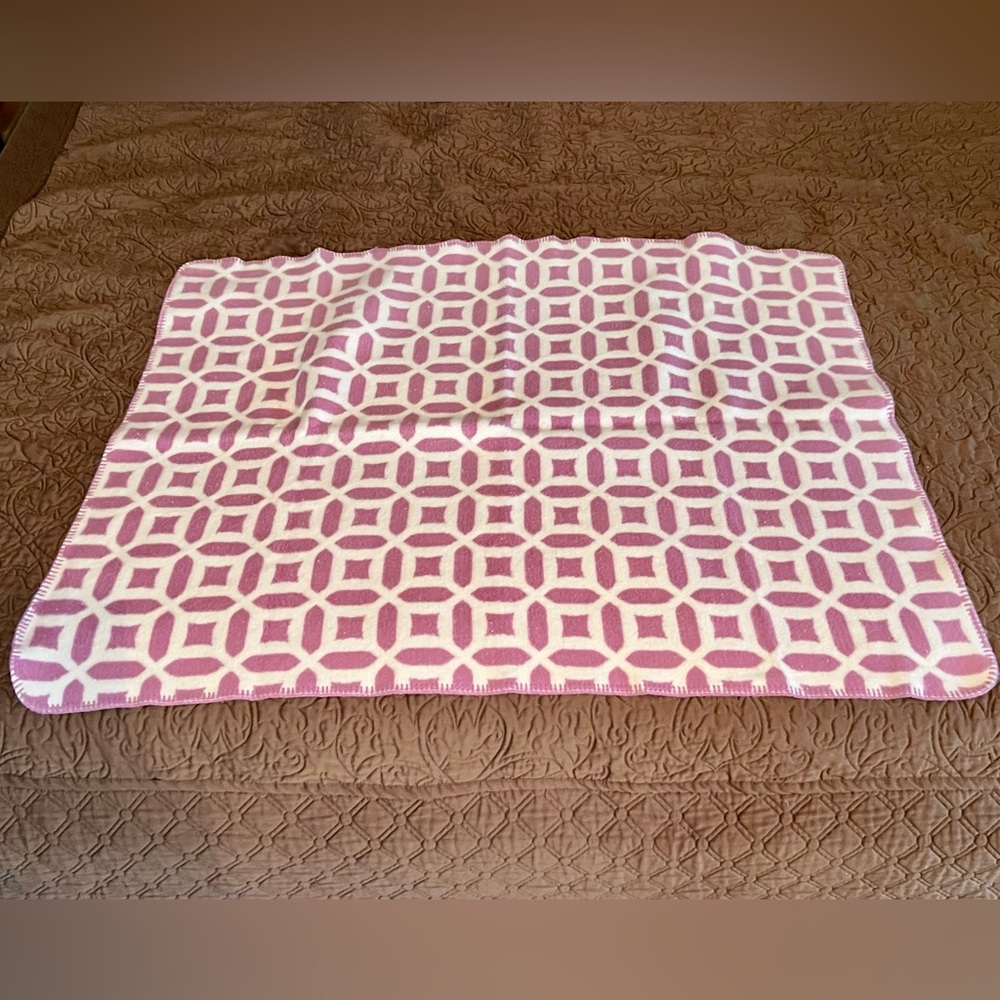 Pottery Barn Kids Baby Fuzzy Blanket